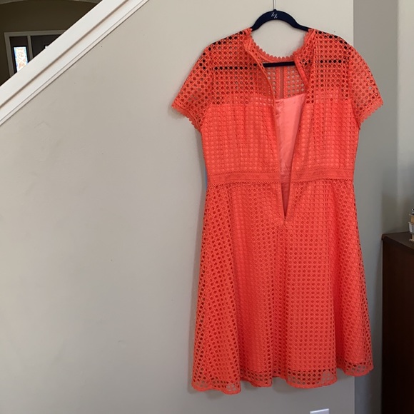 FIRM..Antonio Melani Stella Lace Scallop A Line Dress. - Picture 4 of 13